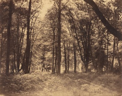  av Gustave Le Gray