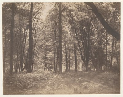 La forêt de Fontainebleau (Skogen ved Fontainebleau) av Gustave Le Gray