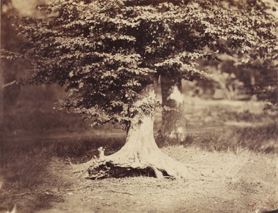  av Gustave Le Gray