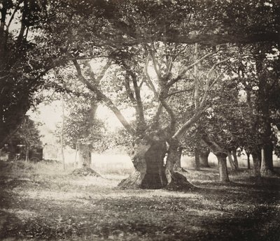  av Gustave Le Gray