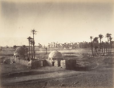 Utsikt over Thebesletten tatt fra Karnac-tempelet, 1867. av Gustave Le Gray