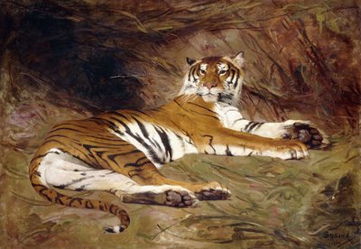 En liggende tiger av Gustave Surand