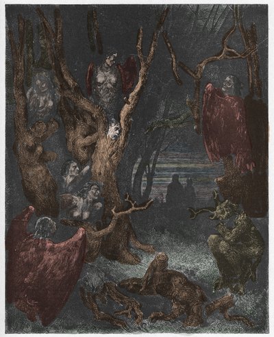 Inferno, Canto 13: Harpiene i selvmordsskogen, illustrasjon fra The Divine Comedy av Dante Alighieri, 1885 (digitalt farget gravering) av Gustave after Dore