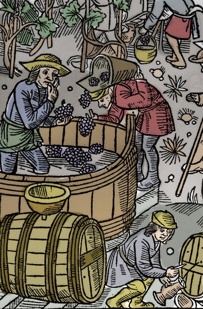 Høst - druehøst - Hyrdekalender - Månedens arbeid - Oktober - Tresnitt fra boken fra 1496 trykt av Guy Marchant (Guido Mercator) i Troyes - Tregravering i "" Le grand Calendrier et compost des shepherds"" - Høsten - og th av Guy Marchant