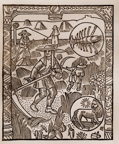 Hyrdekalender - Månedens arbeid - Juli - Tresnitt fra boken fra 1496 trykket av Guy Marchant (Guido Mercator) i Troyes - Hay, la coupe des hay - Gravering sur bois i "" Le grand Calendrier et compost des shepherds"" - av Guy Marchant