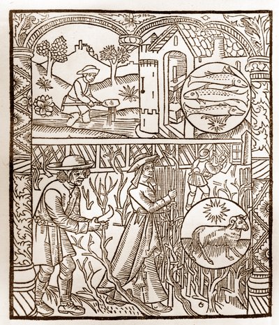 Hyrdekalender - Månedens arbeid - Mars - Tresnitt fra boken fra 1496 trykt av Guy Marchant (Guido Mercator) i Troyes - Tregravering i "Le grand Calendrier et compost des shepherds" - av Guy Marchant