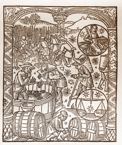 Hyrdekalender - Månedens arbeid - Oktober - Tresnitt fra boken fra 1496 trykket av Guy Marchant (Guido Mercator) i Troyes - Tregravering i "" Le grand Calendrier et compost des shepherds"" - Høsten - og tegnene på dyrekretsen: den av Guy Marchant