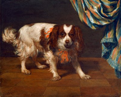 En King Charles Spaniel (olje på panel) av Gysbert van de Kuyl