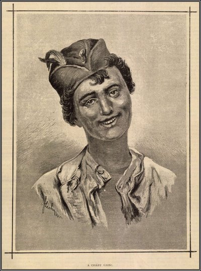  av Gyula Széchy