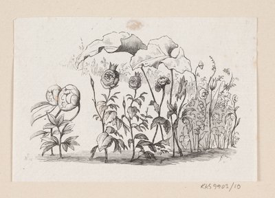 Illustrasjon til "Den lille Idas Blomster" i H.C. Andersen, "Eventyr og historier", bind 1 av H.P. Hansen