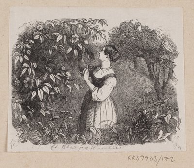 Illustrasjon til "A Leaf from Heaven" i H.C. Andersen, "Eventyr og historier", bind 2 av H.P. Hansen