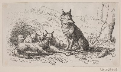 Illustrasjon for: "Mr. Mikkel" av H. C. Henneberg