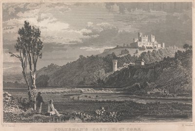 Coltman's Castle, Co. Cork; side 70 (bind 1) av H. Winkles