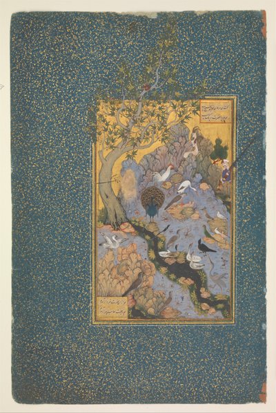 Side fra et manuskript av Mantiq al-Tayr (Conference of the Birds) av Habiballah of Sava