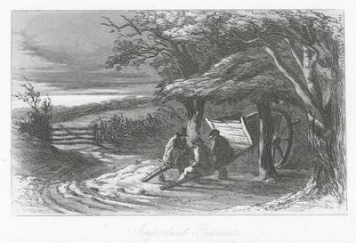 Straßen von London: Wichtige Geschäfte (Gravur) von Hablot Knight (1815-92) Browne