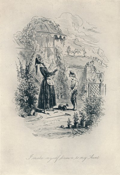 Jeg gjør meg kjent for tanten min. Etsning fra David Copperfield, c1840-1880, 1923 av Hablot Knight Browne