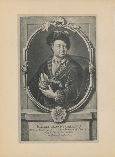 Portrett av naturforskeren, botanikeren og geografen Johann Georg Gmelin 1709-1755, midten av det 18. århundre. av Haid