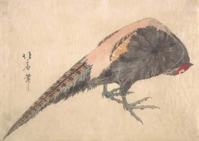 Fugl, 1830-tallet. av Hakusanjin Hokui