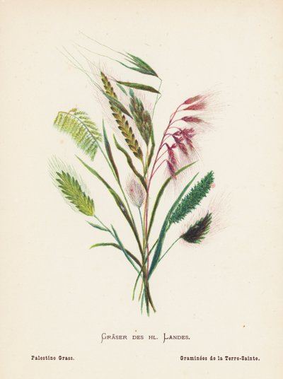  av Hannah Zeller