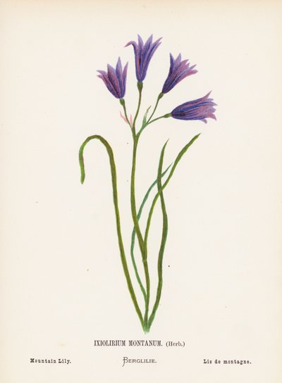  av Hannah Zeller