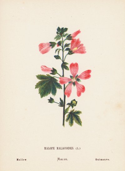  av Hannah Zeller