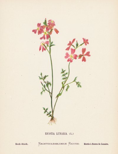  av Hannah Zeller