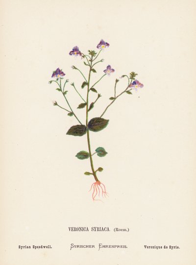  av Hannah Zeller