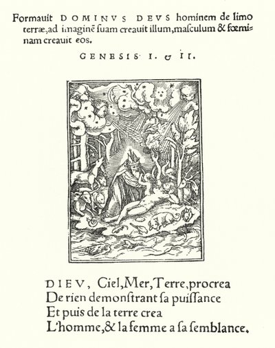 Skapelsen (gravering) av Hans (after) Holbein the Younger