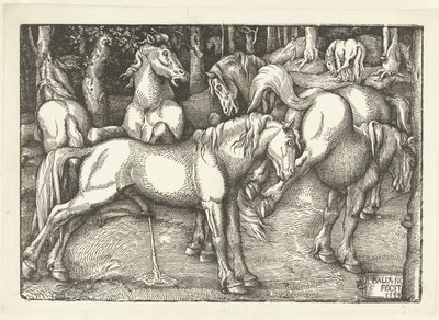 Gruppe på seks kamphester av Hans Baldung Grien