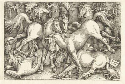 Gruppe på syv kamphester av Hans Baldung Grien