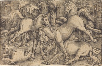 Gruppe på syv hester i skogen av Hans Baldung Grien