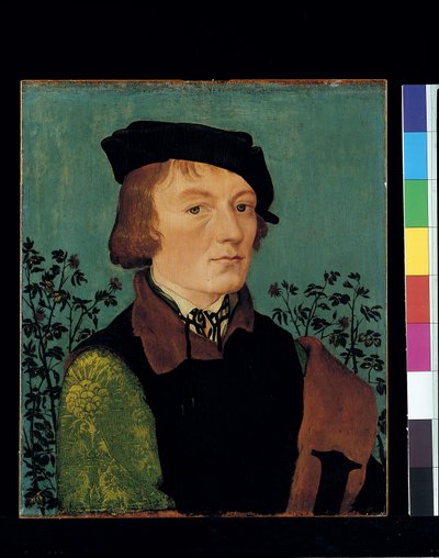 Portrett av en mann foran en rosehekk (olje på tre) av Hans Baldung Grien