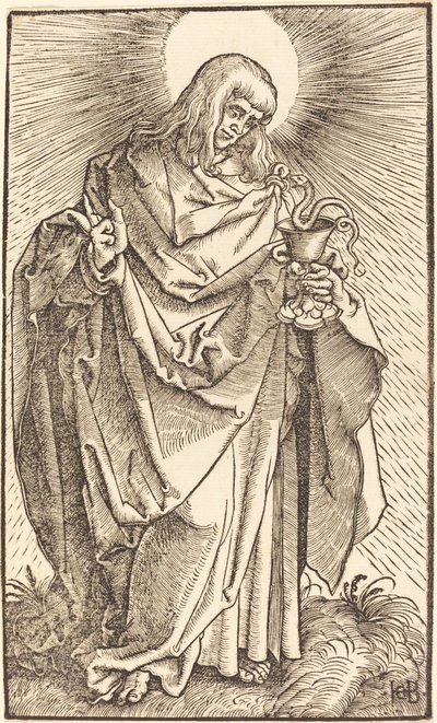 Saint John av Hans Baldung Grien