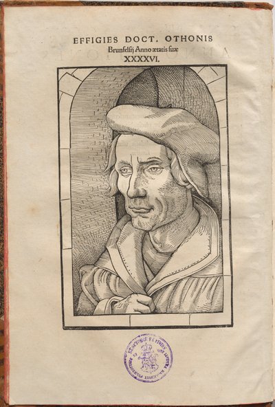 Merknader av Othon Brunfelsius ... i de fire evangeliene og apostlenes gjerninger ... av Hans Baldung Grien, Otto Brunfels