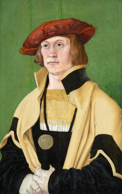 Portrait of a Man, circa 1520 (oil on panel)   1175258   no       norwegian Successfully Translated  Original: Portrait of a Man Translat: Portrait of a Man 1261971 no norwegian Successfully Translated Original: Judith with the head of Holofernes in her le av Hans Brosamer