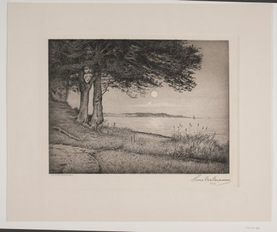 Vejle fjord av Hans Christian Gether Caspersen