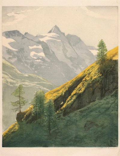  av Hans Frank