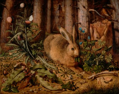 En hare i skogen, ca. 1585 (olje på panel) av Hans Hoffmann