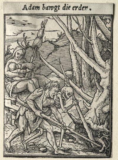 Dødedansen: Adam Tilling the Ground av Hans Holbein