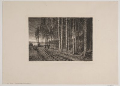 Regnværsdag i granskogen av Hans Julius Fæster