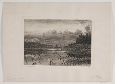 Innsjøen i granskogen av Hans Julius Fæster