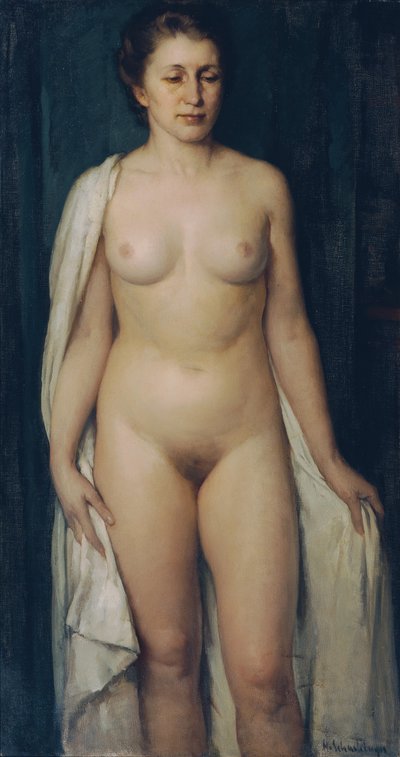  av Hans Schachinger