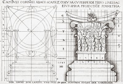 Tverrsnitt av korintisk hovedstad og proporsjonal tegning av Hans Sebald Beham