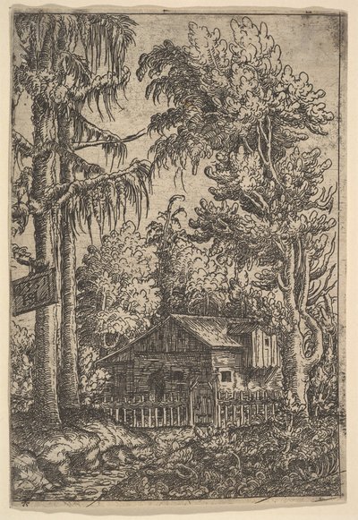Hytte blant trær, 1551. av Hans Sebald Lautensack