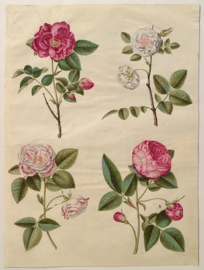  av Hans Simon Holtzbecker