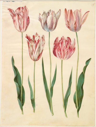  av Hans Simon Holtzbecker