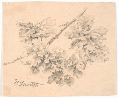 Studie av eikegrener av Hans Smidth