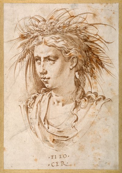 Head of Ceres (penn og brunt blekk på papir) av Hans Speckaert