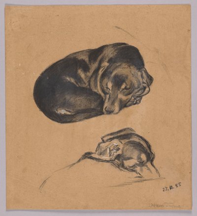 To studier av en sovende dachshund av Hans Thoma