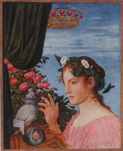 Venus, illustrasjon fra 
